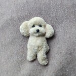 よづ様専用　トイプーちゃん