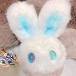 ふわうさ 🐇💙