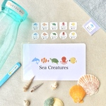 海の生き物【アイロン不要・耐水・アイロン】お名前シール*ファイル*Sea ​​Creatures*カット済み*おなまえシール*アイロン*タグ*耐水*アイロン不要*ノンアイロン*名入れ