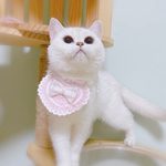 EMY's Gallery 猫襟 つけ襟 首輪 ネックレス スタイ 犬襟