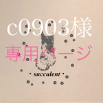 c0903様専用です。