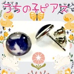 写真で♪ うちの子ピアス♪ 