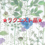 ☆リクエスト品☆リバティのハニカムカードケース