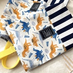 oさまご予約品 ぼくの恐竜