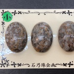 サンゴの化石/小　ルース