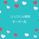 リュウくん専用オーダー品
