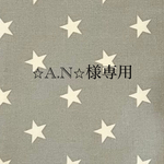 ⭐︎A.N⭐︎様専用