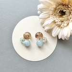 ‎𓊆 3/1から販売開始✨ 𓊇 くまちゃん🧸🩵 ピアス イヤリング ブルー ドライフラワー 金属アレルギー対応 金アレ