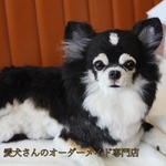 愛犬さんのオーダー　リアル　羊毛フェルト　オーダー　犬　置物　ペット　オーダーメイド　【うちの子オーダー】　メモリアル　チワワ　トイプードル　ダックス　柴犬　パピヨン　ポメラニアン　ヨーキー