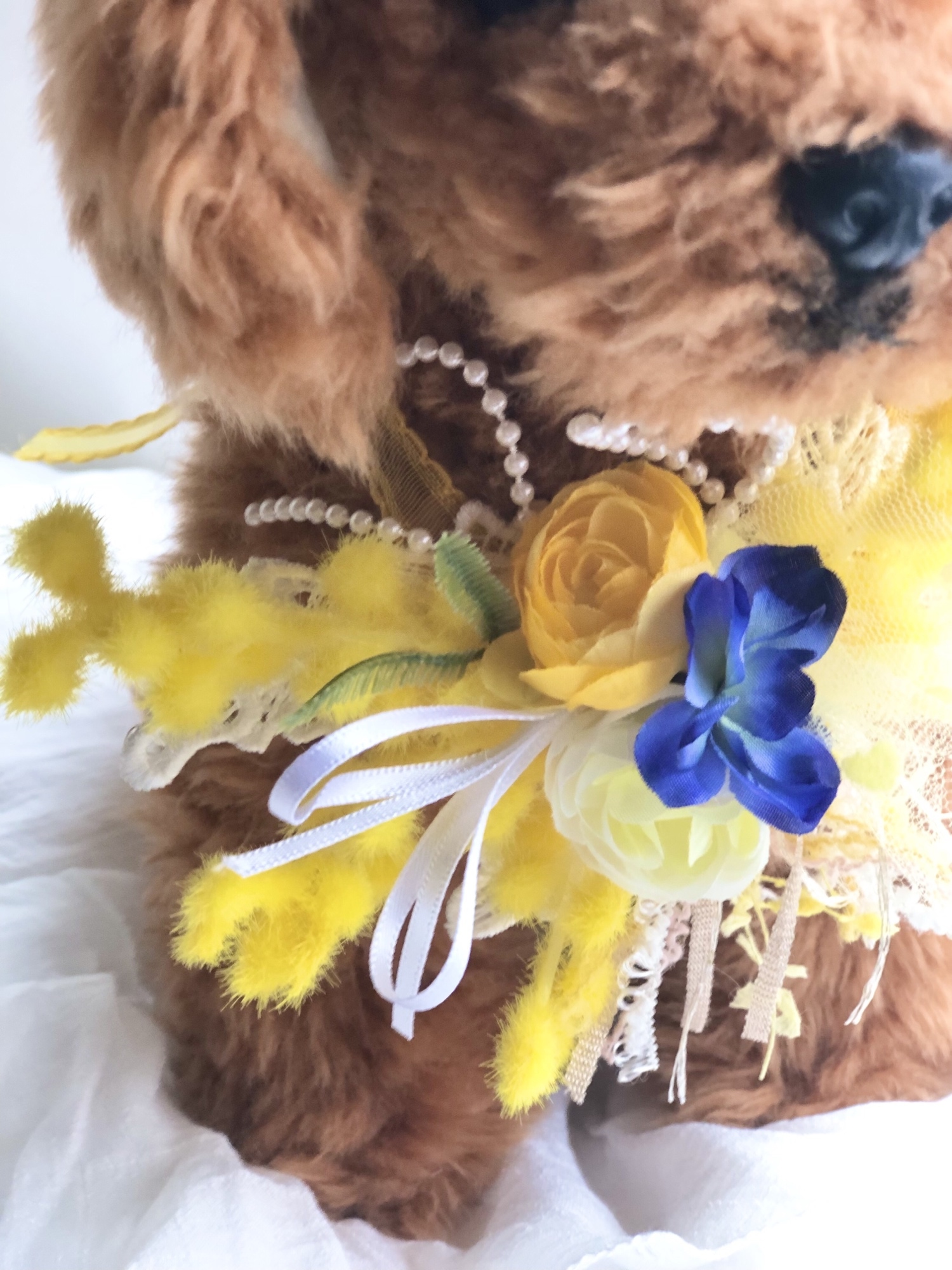 トリミングチョーカー　春・ミモザ 203 犬お花チョーカー ミモザ春 写真撮影 トリミング 首飾り 犬猫