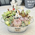【送料無料】再販♡ シュール可愛い♡魚釣り猫さん　　多肉植物寄せ植え　プレゼント　アレンジメント