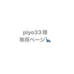 専用🦕