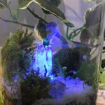 水晶クラスターと苔の庭園