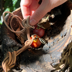 🌳森のりんごネックレス🍎（葉・ブラウン紐・マット仕上げ）