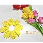 moriのお花シリーズ❃菜の花