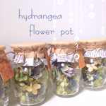 2016紫陽花のflower pot♪