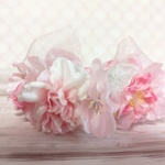 桜の花冠　　2/29　21:00〜販売