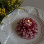 フラワーキャンドル "dahlia  (A)"【受注生産】