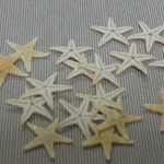 小さいヒトデ☆レジン封入などに