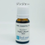 ｱﾛﾏｵｲﾙ ジンジャー 10ml (エッセンシャルオイル・精油)
