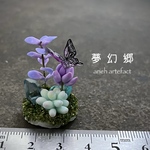 アリエの魔法素材標本「夢幻郷」