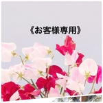  《e○○○○○i様専用です》