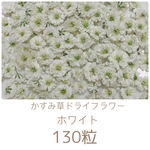 ホワイト かすみ草ドライフラワー 150粒