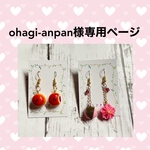 ohagi-anpan様専用ページ