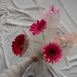 mam…….様専用のお品物です。生花/3束（@¥250）/一輪花束/一本花束/お祝い/送別/卒業式/卒園式