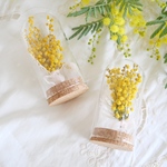 NEW　mimosa ミニガラスドーム（ミモザ入り）【季節限定商品】