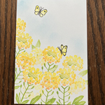 菜の花なはんこ