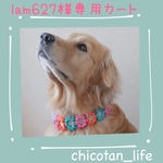 ⭐︎lam627様専用カート⭐︎他の方のご購入はお控えください