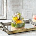 ✽自然を感じる✽ボタニカルグラス【botanical glass ～yellow～ M size】