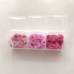 🍀︎【セール‼️】数量限定＊ばら＊かすみ草ドライフラワー3色