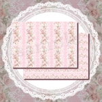 Rose Lace vol.2_Pink 5枚