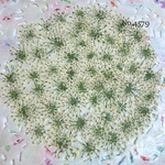 ♡new♡作家様必見♡ ♡レースフラワー 押し花♡
