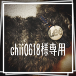 犬用首輪&リード《2セット》