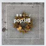 【pop3様専用ページ】