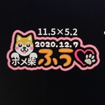 専用ページです(⋆ᴗ͈ˬᴗ͈)”