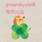 amiandryuta様　専用