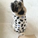 オーダー犬服 モーモーさん ハイネックタンクトップ