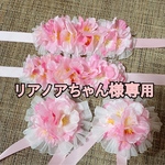リアノアちゃん様専用