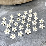 【80輪】忘れな草のドライフラワー