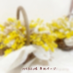 ༜ppt265s様　専用ページ༜