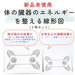 【レア/未使用美品】全ての臓器に共振共鳴し、乱れた臓器のエネルギーを整える線形図