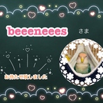 beeeneees様専用ページ