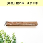 【中型インコ向け】自然木の止まり木