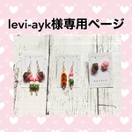 levi-ayk様専用ページ