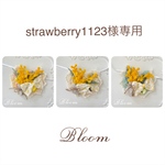 strawberry1123様専用