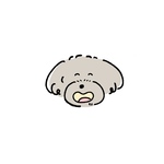 koanko様専用追加料金ページ